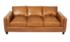 Picture of Rocky Mountain Leather Taos Butterscotch Sofa