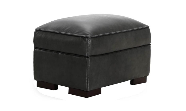 Picture of Kipling Gray Leather Ottoman