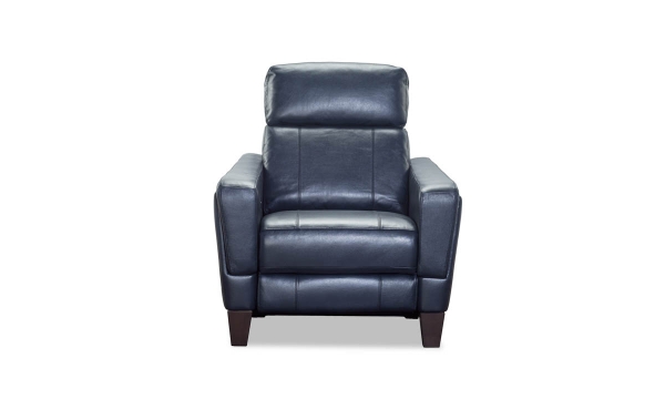 Picture of Lakeside Navy Leather Power Recliner