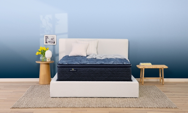 *【希少】T-Rex Room-Mate ティーレックス ルームメイト The Dump Luxe Furniture Outlet | Serta Perfect Sleeper Cobalt Calm