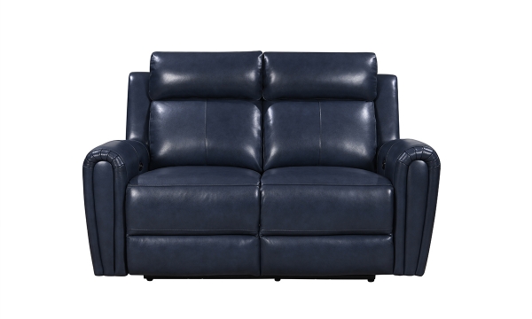 Picture of Jonathan Blue Leather Power Loveseat