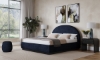 Picture of Flex Blue Jeans Upholstered Queen Bed