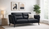 Picture of Franz Black Leather Sofa