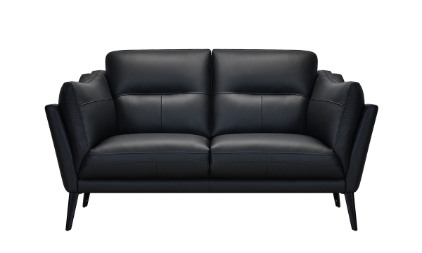 Picture of Franz Black Leather Loveseat