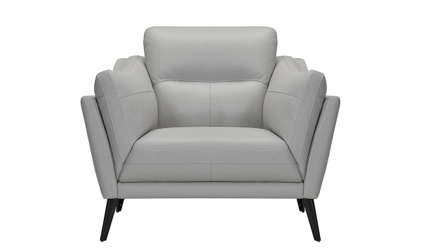 Picture of Franz Gray Leather Chair